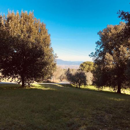La Residenza Dei Piaceri Perduti- Le Volte Apartment ลาสตรา อา ซินญา ภายนอก รูปภาพ
