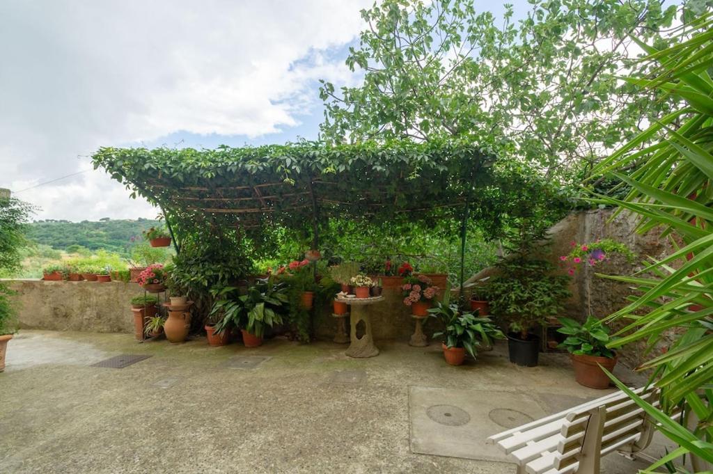 La Residenza Dei Piaceri Perduti- Le Volte Apartment ลาสตรา อา ซินญา ภายนอก รูปภาพ