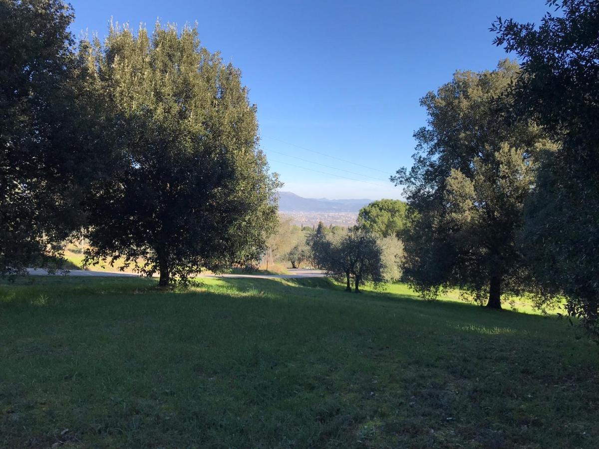 La Residenza Dei Piaceri Perduti- Le Volte Apartment ลาสตรา อา ซินญา ภายนอก รูปภาพ